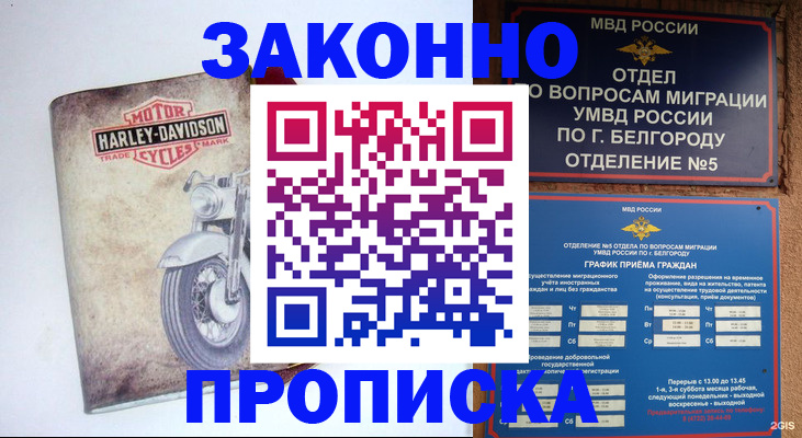 прописка для школы в Шумихе